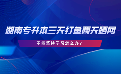 2024年湖南專升本三天打魚兩天曬網(wǎng)，不能堅(jiān)持學(xué)習(xí)怎么辦.png