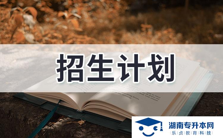 湖南工藝美術職業(yè)學院2022年單獨招生章程