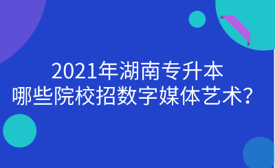 2021年湖南專升本哪些院校招數(shù)字媒體藝術(shù)？.png
