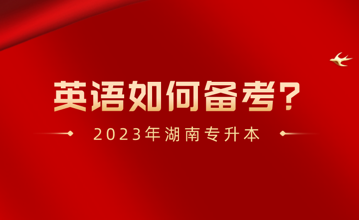 2023年湖南專升本英語如何備考？