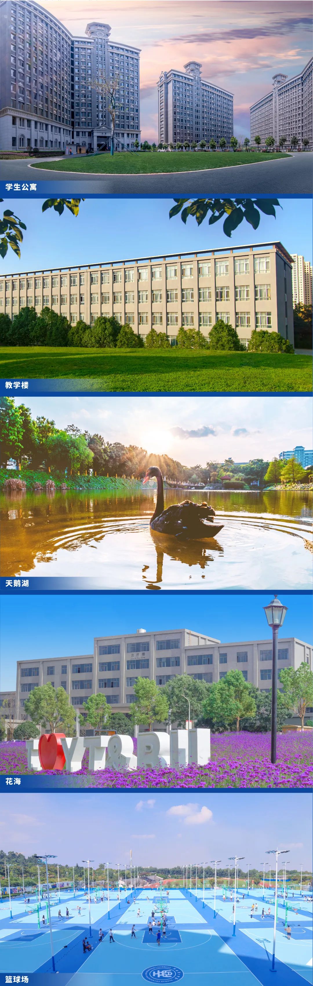2023年云南工商學(xué)院專(zhuān)升本招生簡(jiǎn)章發(fā)布(圖10)