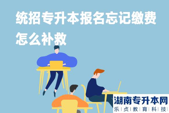 統(tǒng)招專升本報名忘記繳費怎么補救