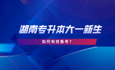 湖南專升本大一新生如何備考？新生必看指南！
